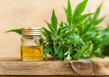 Full-Spectrum CBD Oil and Hemp