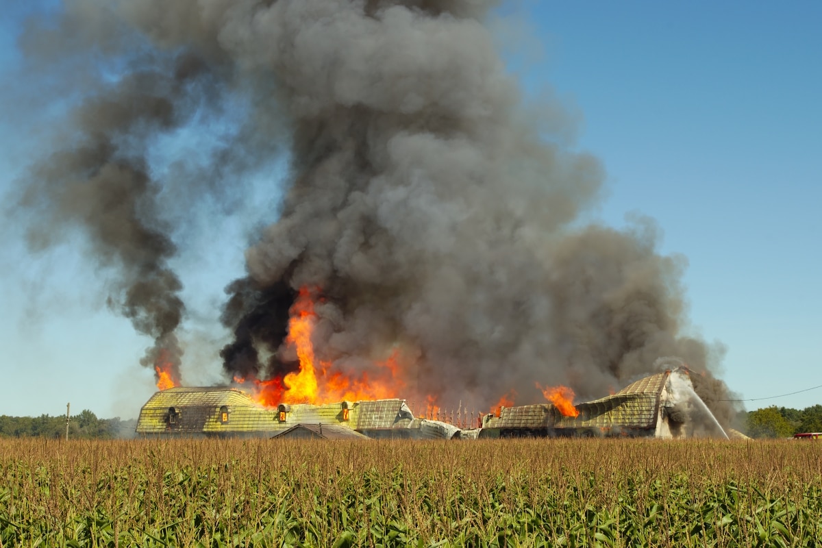 smoke fire explosion flame farm destruction disaster