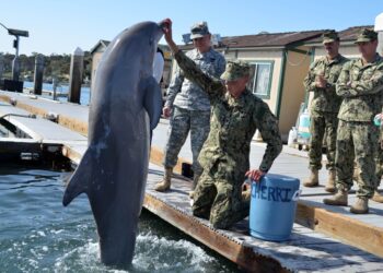 Gen. Martin E. Dempsey, chairman of the Joint Chiefs of Staff, receives a capabilities brief on the U.S. Navy Marine Mammal Program by sailors assigned to Explosive Ordnance Disposal Mobile Unit 1. The Marine Mammal Program uses bottlenose dolphins
