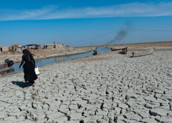 Al-Chibayish, Iraq. November 1st 2018 A Marsh Arab woman collecting water in the parched wetlands of the Central Marshes of southern Iraq