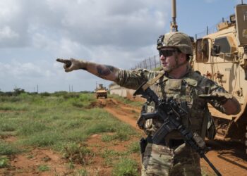U.S. Army Sgt. Don Baldwin, infantryman, assigned to Task Force Guardian, 41st Infantry Brigade Combat Team (IBCT), 1-186th Infantry Battalion, Oregon National Guard, points to the horizon while explaining items of interest to look out for during a security patrol in Somalia