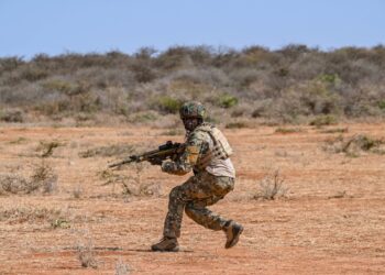 U.S. Marines assigned to Marine Forces Special Operations Command (MARSOC) conduct a specialized training exercise with members of the Kenyan Army during a Joint Combined Exchange Training (