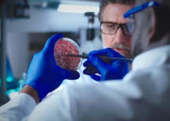 Diverse colleagues discussing lab grown meat