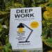 Uttarakhand, India - Feb 26, 2023: Close up of Deep Work book by Cal Newport in a green-yellow leaves