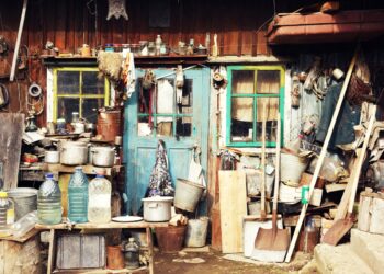 cluttered yard, Bukovina, Chernivtsi region, village Baniliv-Podgorny