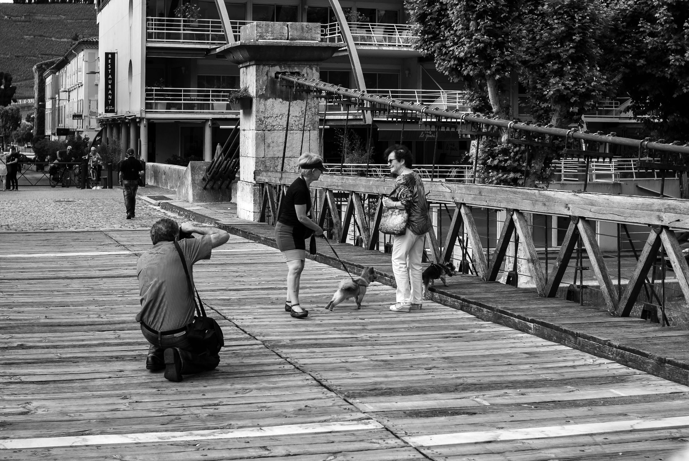 Tournon-sur-Rhône, France - June 10, 2018 : A street-photographer capturing the dogs of two ladies who are talking to each other.