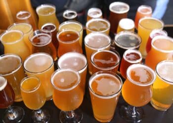 Assorted Craft Beer Varieties - IPA's, Stouts, Lagers, Sours and More