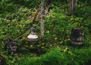 Moonshine steel abandoned in the woods