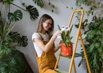 Young smiling woman gardener in glasses wearing overalls, taking care for orchid in old red milk can standing on orange vintage ladder. Home gardening, love of houseplants, freelance.