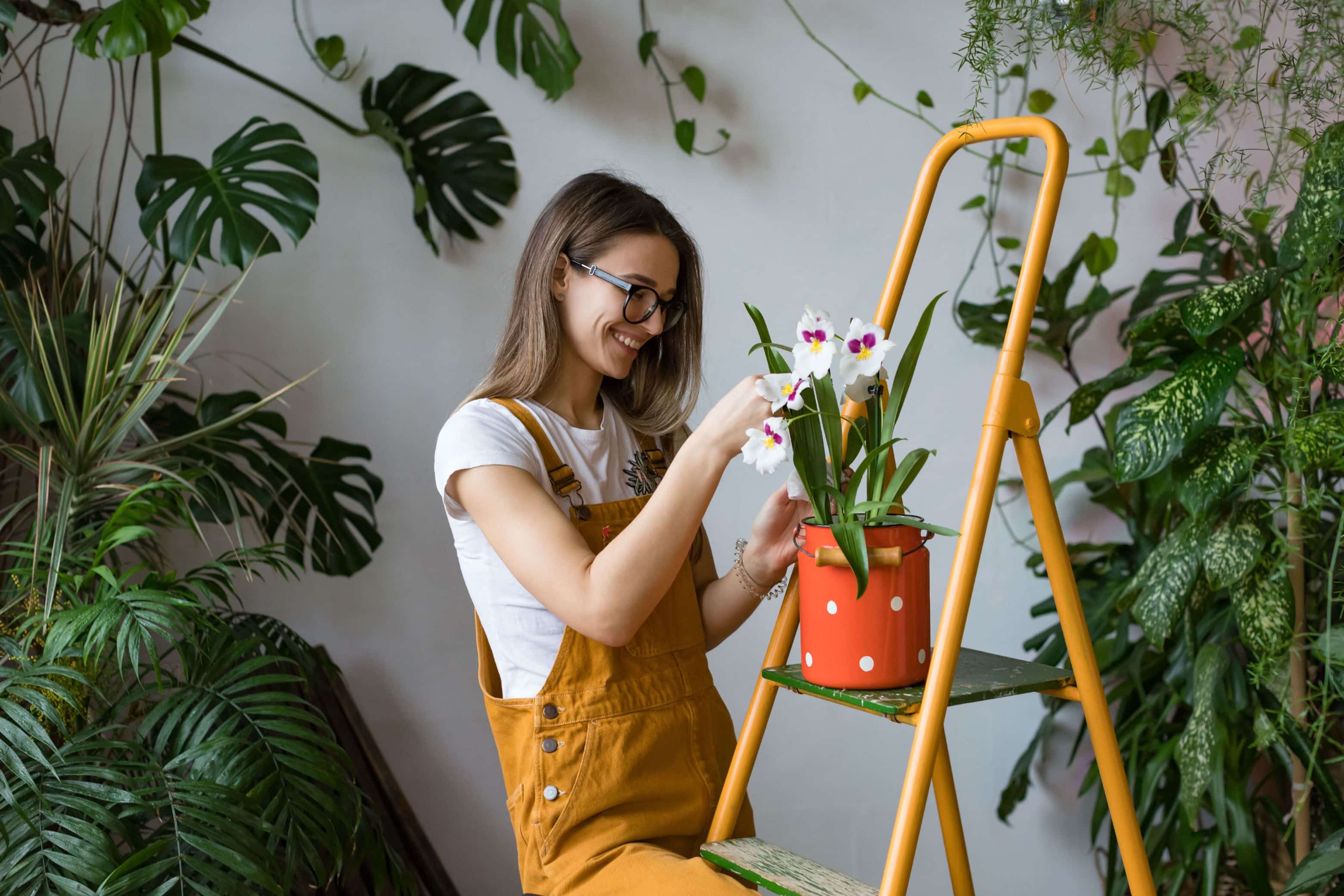 Young smiling woman gardener in glasses wearing overalls, taking care for orchid in old red milk can standing on orange vintage ladder. Home gardening, love of houseplants, freelance.