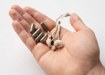 Medicines physical energy Psilocybin mushroom in hand. Psychedelic microdosing.