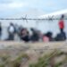 Barbed wire in refugee camp. Migrants behind chain link fence in camp. Group of people behind fence. Concept of prison, freedom, barrier, security and migration. Refugees on their way to EU.