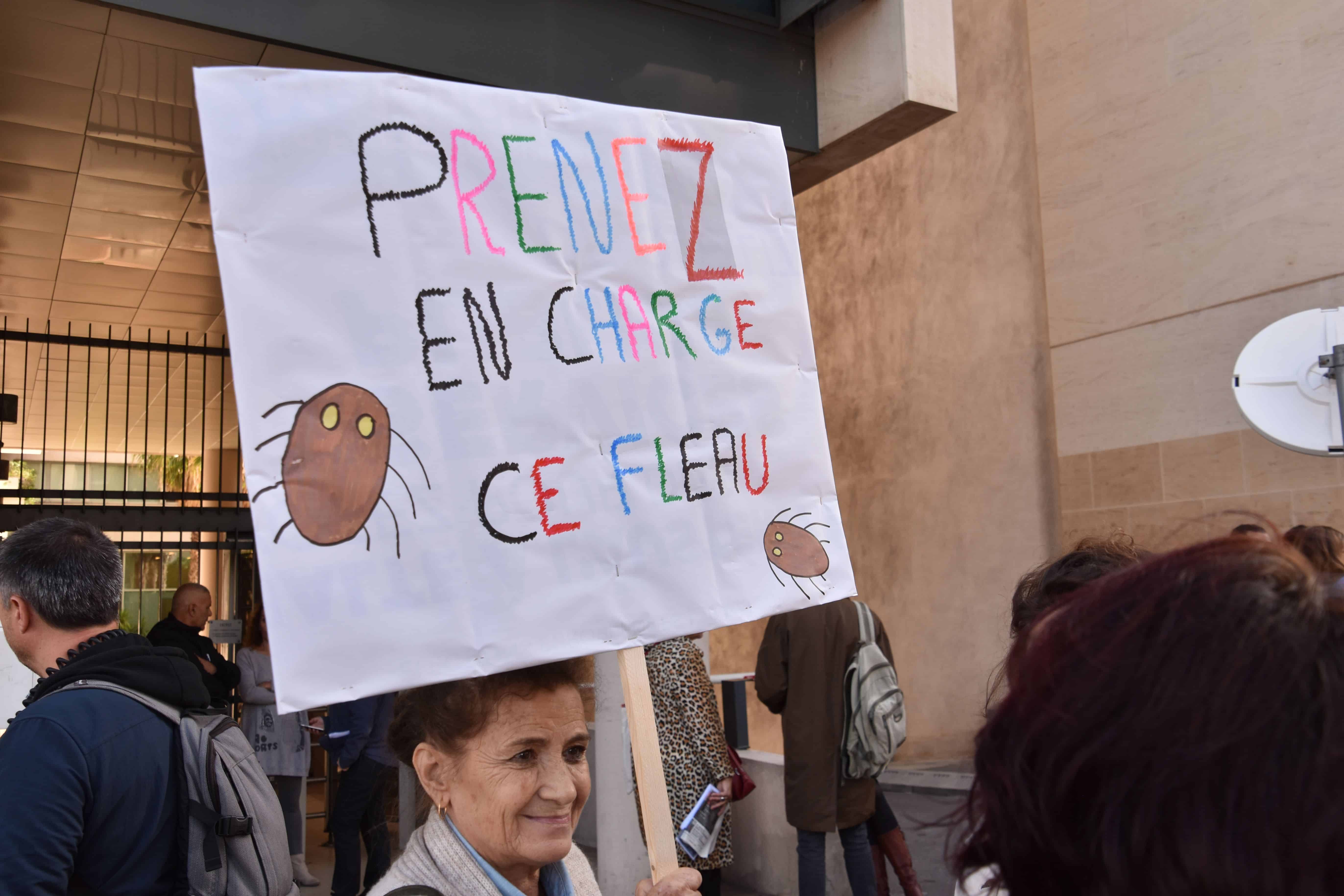 Marseille, France - November 04, 2019 : About 50 people gathered in front of the Regional Health Agency to ask the state to take action against the epidemic of bed bugs that hit the city