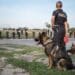 Police dog held by a policewoman (caption in Polish "Police") with many policemen in the background