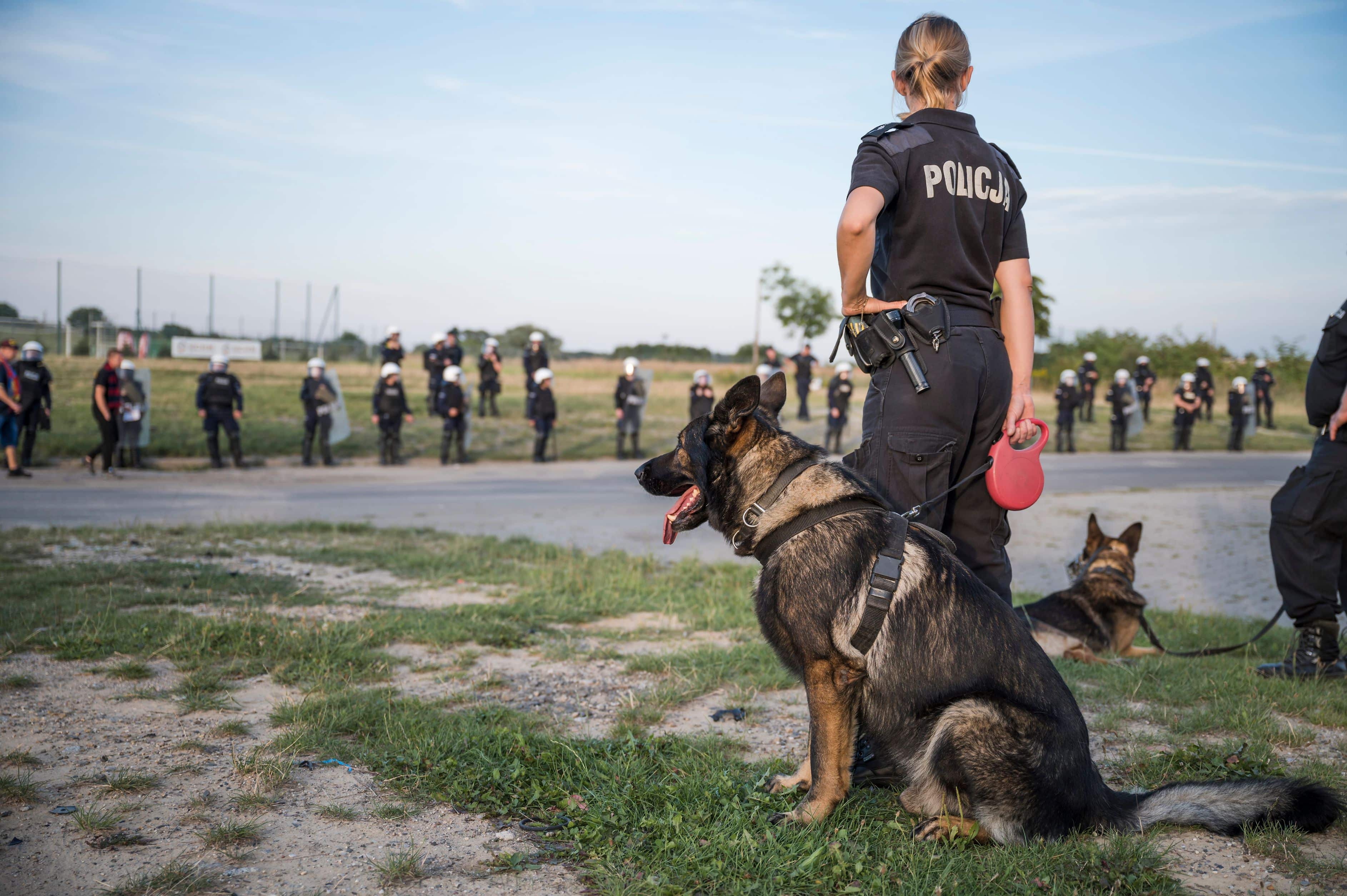 Police dog held by a policewoman (caption in Polish "Police") with many policemen in the background