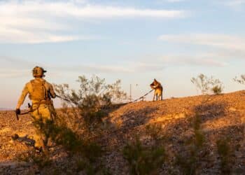 A multi-purpose canine handler with Marine Forces Special Operations Command and his MPC conduct a tracking movement during a special operations capability specialist training course, Oct. 9, 2023. The desert portion of the training is the end of a five- month long pipeline for new SOCS and is used as a refresher course for seasoned MPC handlers. (U.S. Marine Corps photo by Cpl. Henry Rodriguez)