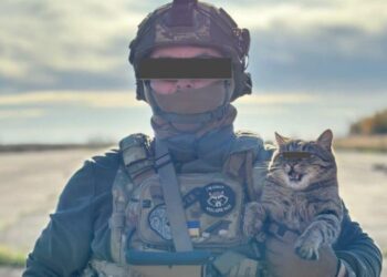 Ukraine’s Ministry of Defense shares Photo of “Special Forces Cat”
