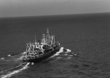 Iran Warns U.S. Against Targeting ‘Cargo Ships’ Suspected as Spy Bases Following New Strikes on Yemen’s Houthis