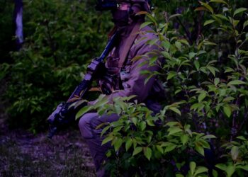 US, NATO Forces Showcase Tactics, Integration During Exercise Astral Knight 2024