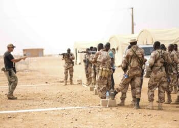 Pentagon Orders Complete Withdrawal of U.S. Combat Troops from Niger