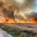 Hezbollah Rocket Attack Sparks Massive Bushfires in Northern Israel