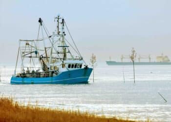 Investigation Reveals Expansion of Russian Spy Ships in the North Sea