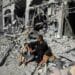 Israeli Strike on Gaza School Kills 29