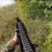 Video: Ukrainian Paratroopers Ambush Russian Marines in Kursk Region