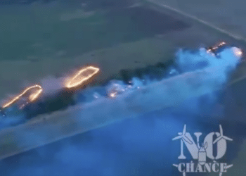 Video: Ukrainian Forces Deploy Thermite-Dropping Drones in Dense Forest Areas