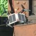 Russian Solar-Powered Drone Spotted in Ukraine