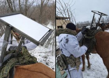 Russian Military Uses Horses to Carry Starlink Terminals at Frontlines