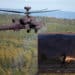 U.S. Apache Fires New 30mm Proximity Ammo to Destroy Drones Midair