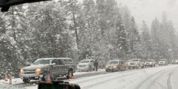Eight Backcountry Skiers Dead and One Missing After Avalanche Near Lake Tahoe