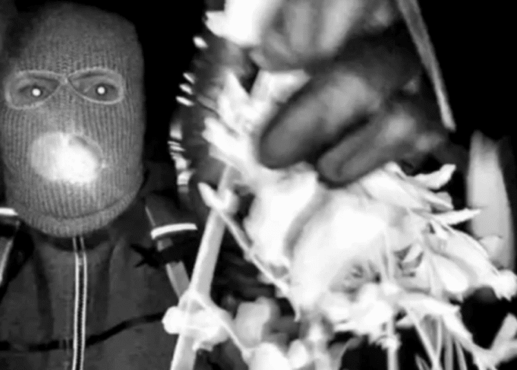 FBI Obtains Footage from Disabled Nest Camera in Nancy Guthrie Investigation