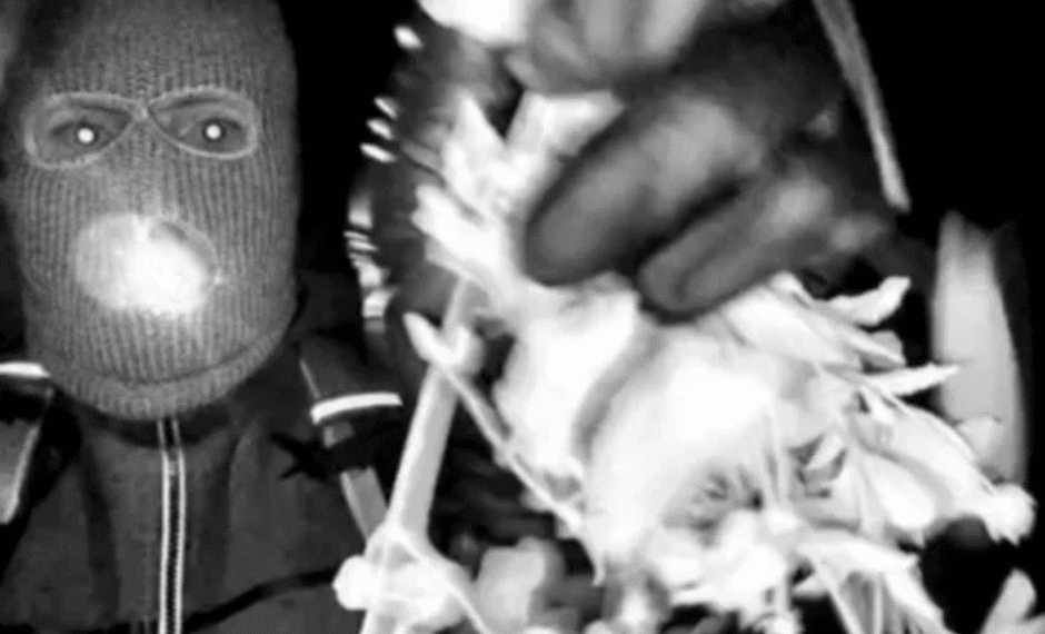 FBI Obtains Footage from Disabled Nest Camera in Nancy Guthrie Investigation