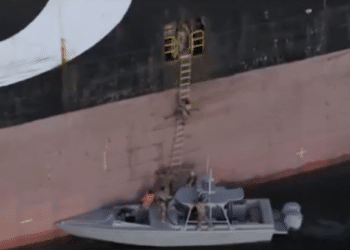 Video Shows Iranian Commandos Storming Container Ships in Strait of Hormuz
