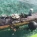 Indonesian Fisherman Recovers Chinese UUV in Lombok Strait Fitted With Sensors to Map Submarine Transit Routes