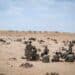 Two Army Soldiers Missing at African Lion 2026 as AFRICOM Tests Personnel Tracker