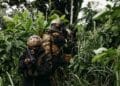 U.S., Nigerian Forces Carry Out Additional Airstrikes Against ISIS Fighters in Northeastern Nigeria