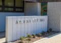 Arcadia Mayor Eileen Wang Pleads Guilty to Acting as Illegal Agent for China