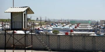 AFP Scrutinizes Devices as Second IS-Linked Convoy Returns From Syria