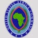 AFRICOM Resumes Somalia Airstrikes as U.S. Expands Theater Infrastructure