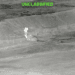 Iran Attacks Bahrain, Kuwait After U.S. Hits Targets Near Strait of Hormuz