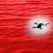 China Unveils AI Drone Swarm Algorithm Designed to ‘Find and Kill Them All’