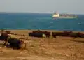 Suspected Somali Pirates Hijack Tanzanian-Flagged Tanker Off Yemen as Regional Piracy Threat Grows