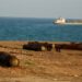 Suspected Somali Pirates Hijack Tanzanian-Flagged Tanker Off Yemen as Regional Piracy Threat Grows
