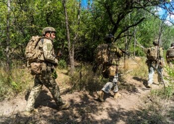 Ukraine Opens a Regulated Market to Recruit Foreign Fighters