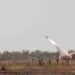Germany Set to Produce ATACMS as US Winds Down the Missile at Home